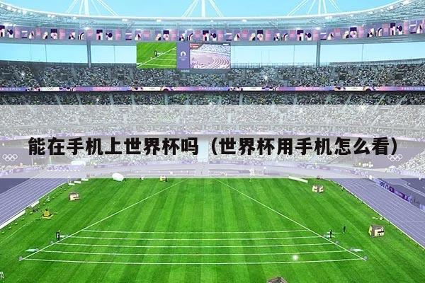 能在手机上世界杯吗（世界杯用手机怎么看）